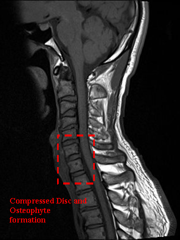 Description of image